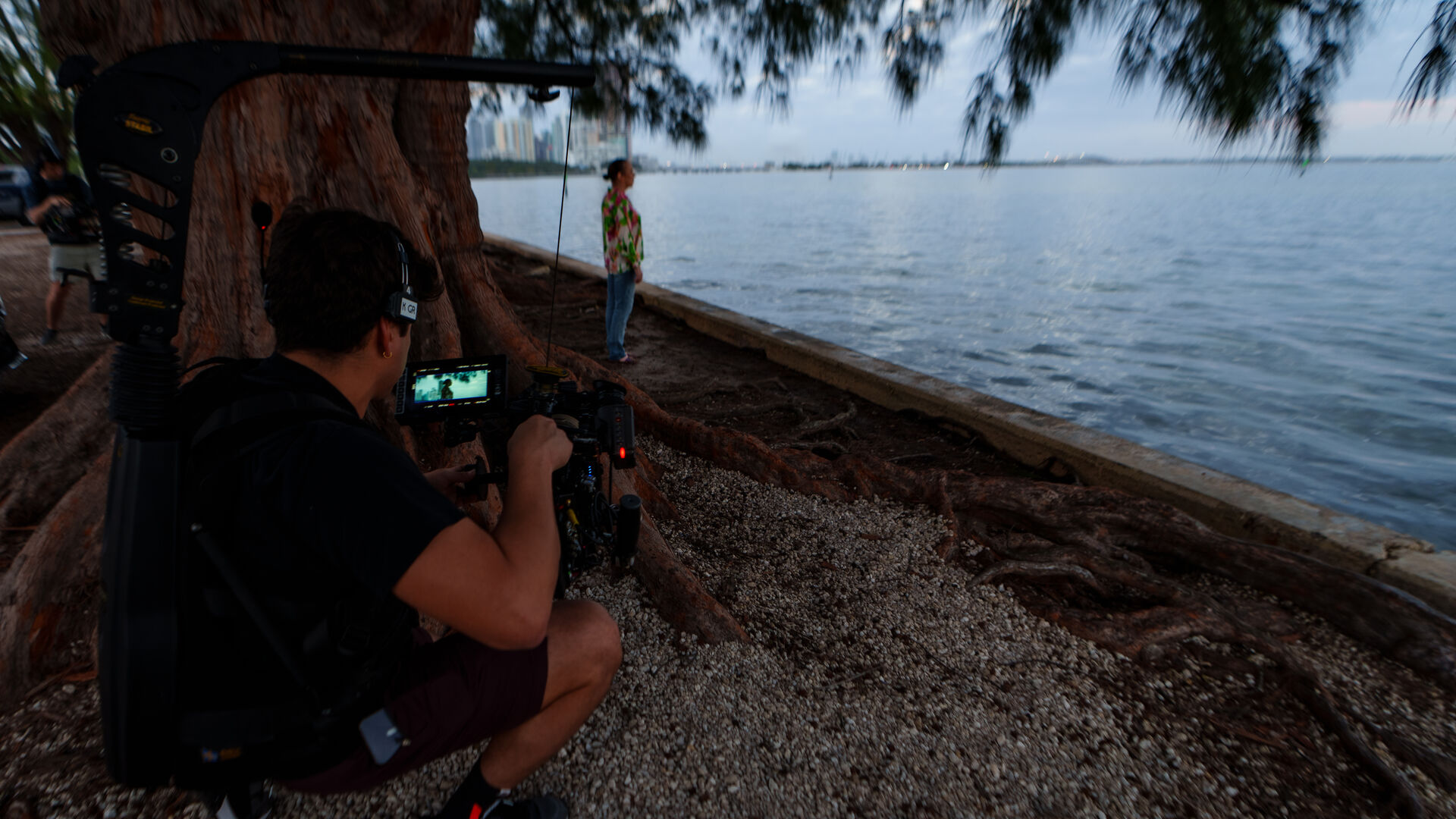 Filming at dusk under banyan tree, Miami bayfront